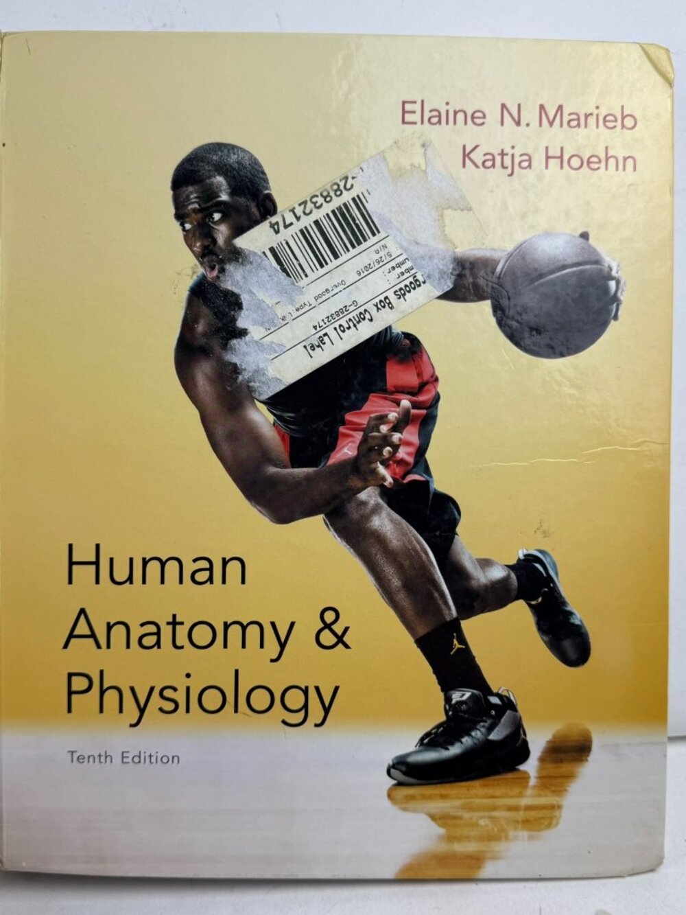 Human Anatomy & Physiology 10th Ed Marieb Hoehn ISBN 9780321927040 Hardcover